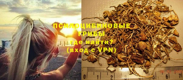 дживик Алексин