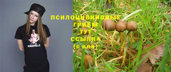 2c-b Алексеевка