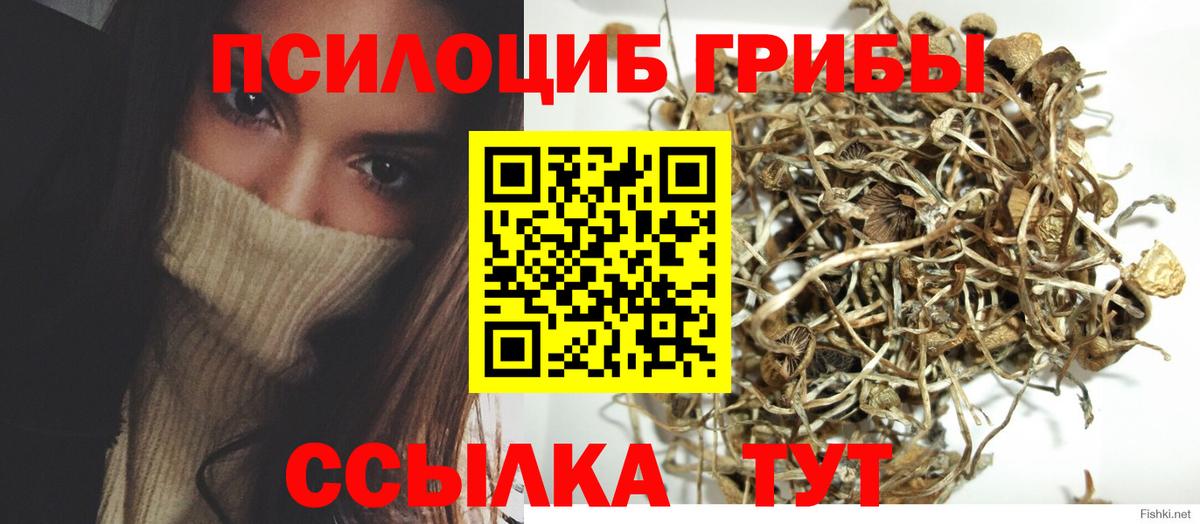 Галлюциногенные грибы мухоморы  Галлюциногенные грибы Cubensis  закладки  Белебей  Вход с VPN 